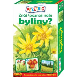 Pexetrio - Znáš naše houby?