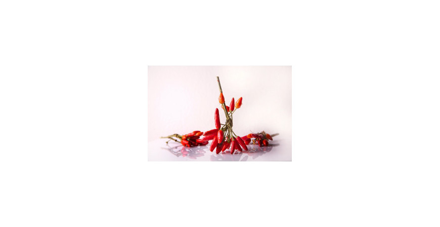 Někdo to rád chilli. Proč jsou chilli papričky tak pálivé, a zároveň zdravé?