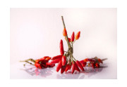 Někdo to rád chilli. Proč jsou chilli papričky tak pálivé, a zároveň zdravé?